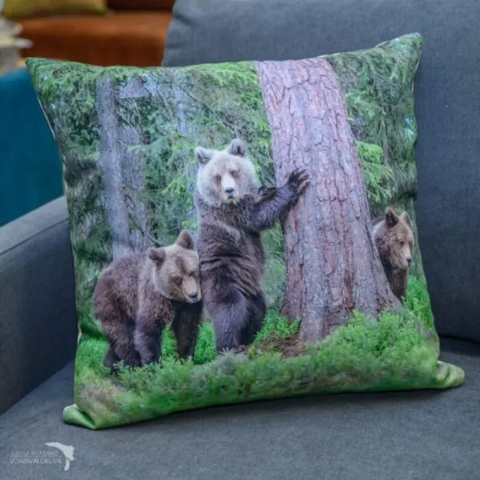 Tyynynpäällinen karhut