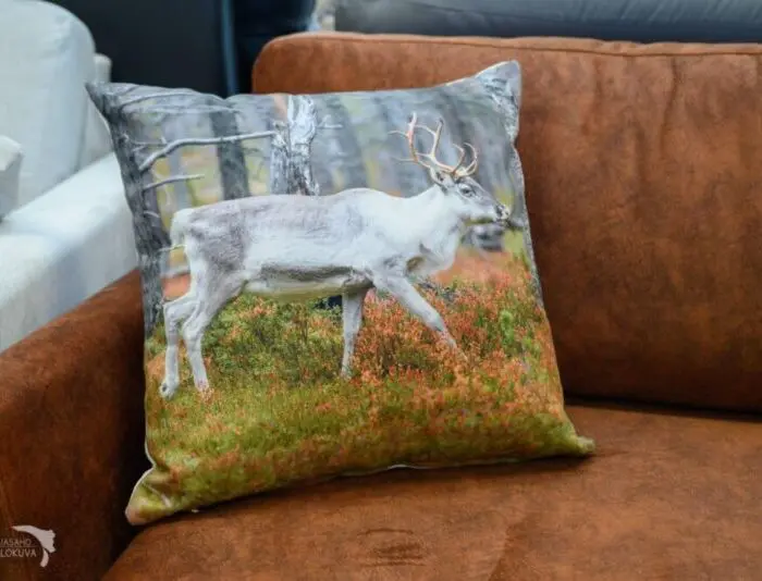 Tyynynpäällinen Poro