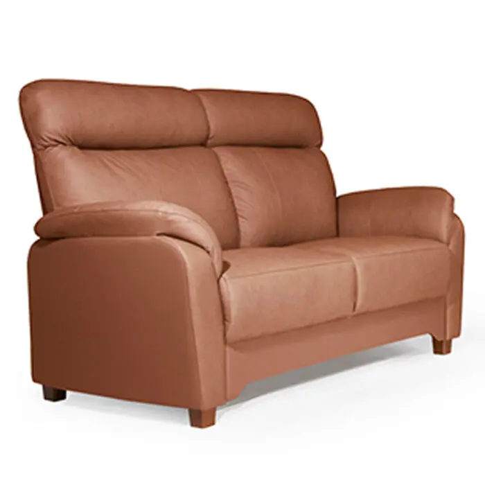 Flamingo 2-istuttava nahkasohva, konjakinruskea