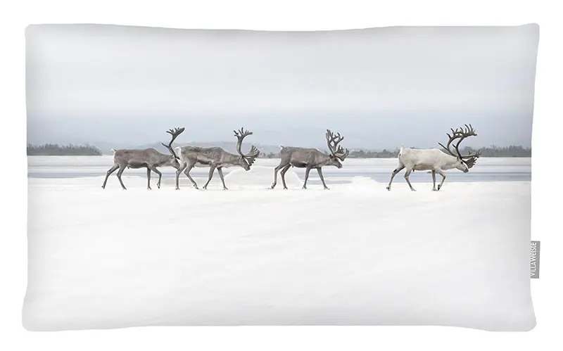 Lapin Porot tyyny 30x60cm