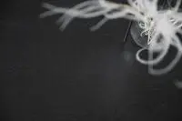 Rowico Lotta baaripöytä, musta - Image 7