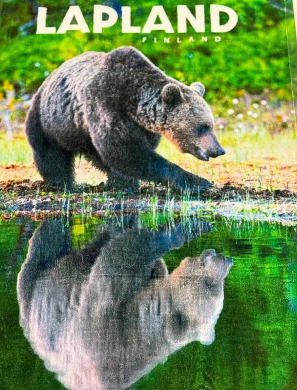 Lapland karhu kylpypyyhe 75x150cm