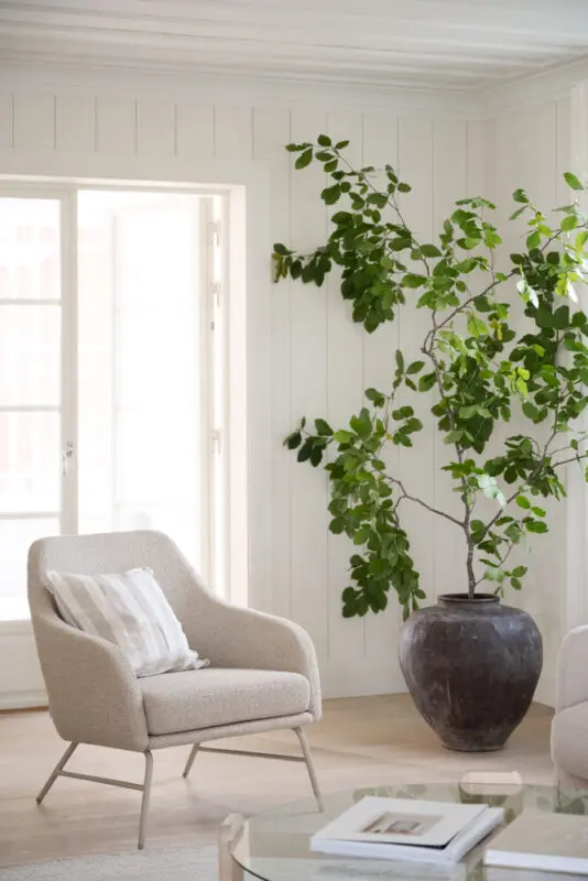 Rowico Eldwin lounge nojatuoli, beige - Image 11