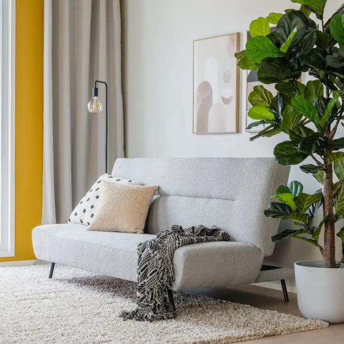 Furry vuodesohva roosa - Image 2