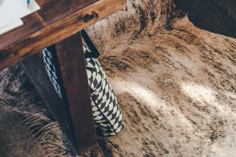 Skinnwille lehmäntalja Exotic black/brown/white - Image 2