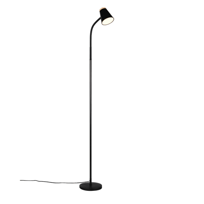 Lattiavalaisin Pongo musta
