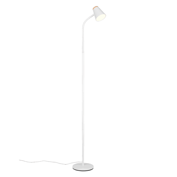 Lattiavalaisin Pongo valkoinen