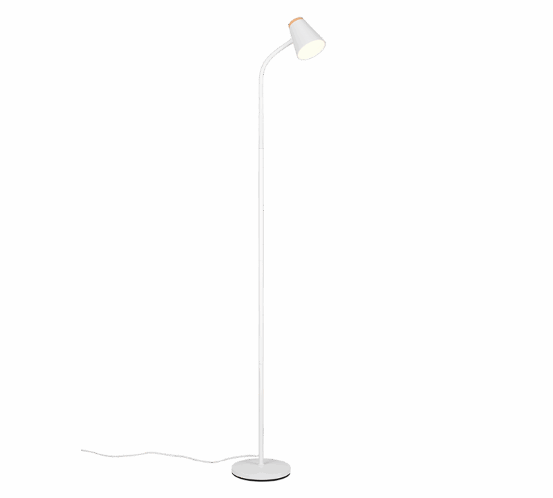 Lattiavalaisin Pongo valkoinen