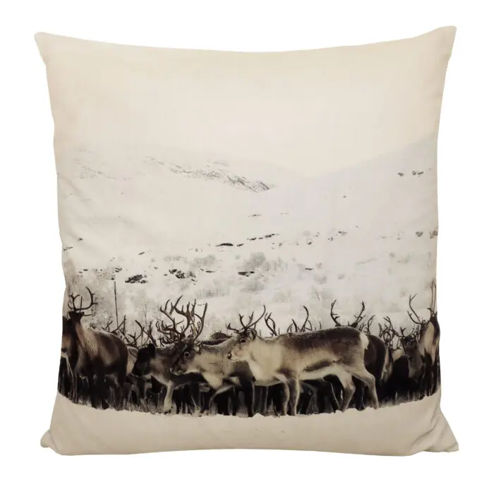 Tyynynpäällinen Jutis 45x45cm